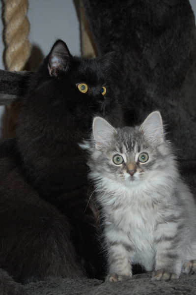 Riesenbaby Halldor mit seinem neuen Freund.jpg